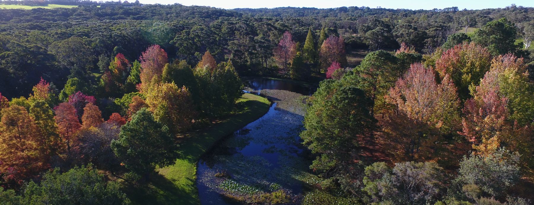 The Springfields botanical gardens at Kulnura